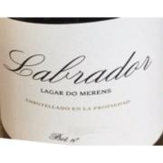 Wine Labrador