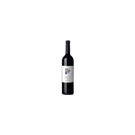 Enate Reserva Especial 2001 Somontano