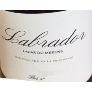 Vin Labrador
