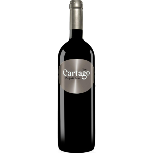 Cartago Paraje del Pozo, San Román, vino tinto Toro